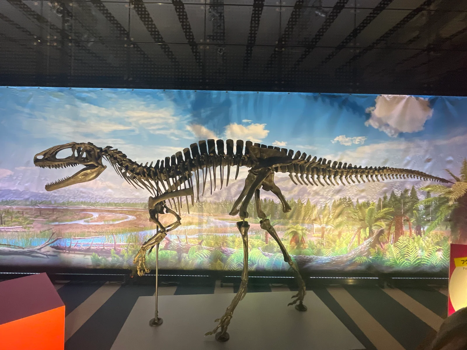 Fukuiraptor kitadaniensis