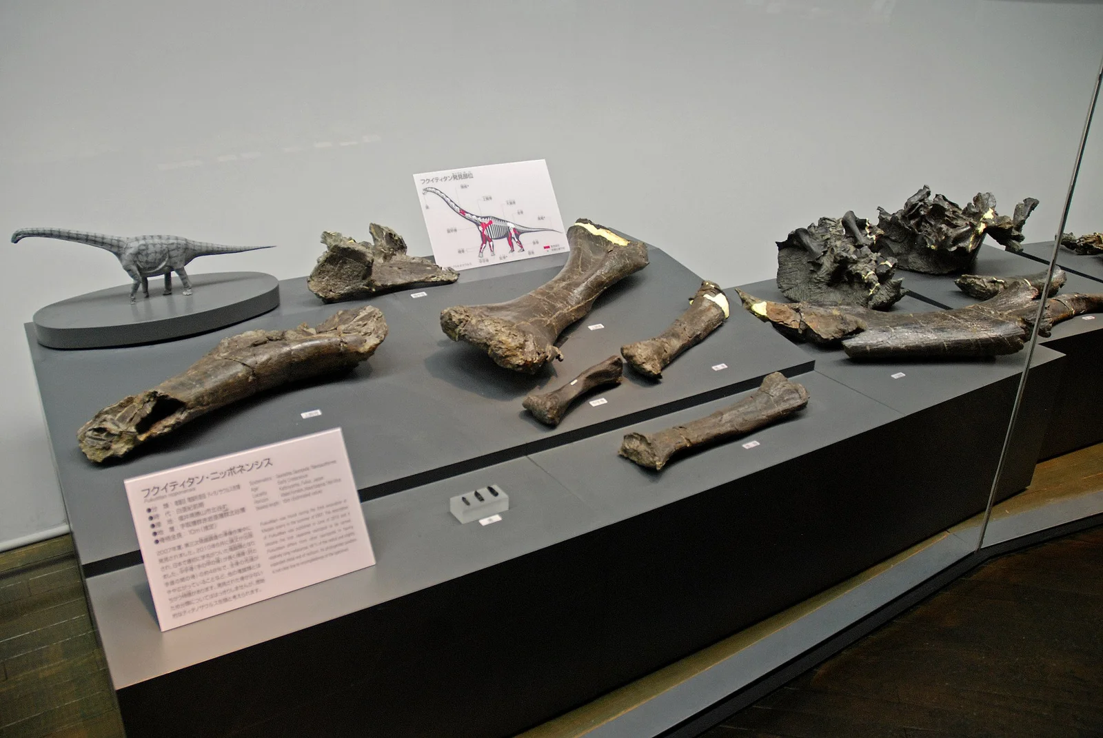 Fukuititan nipponensis