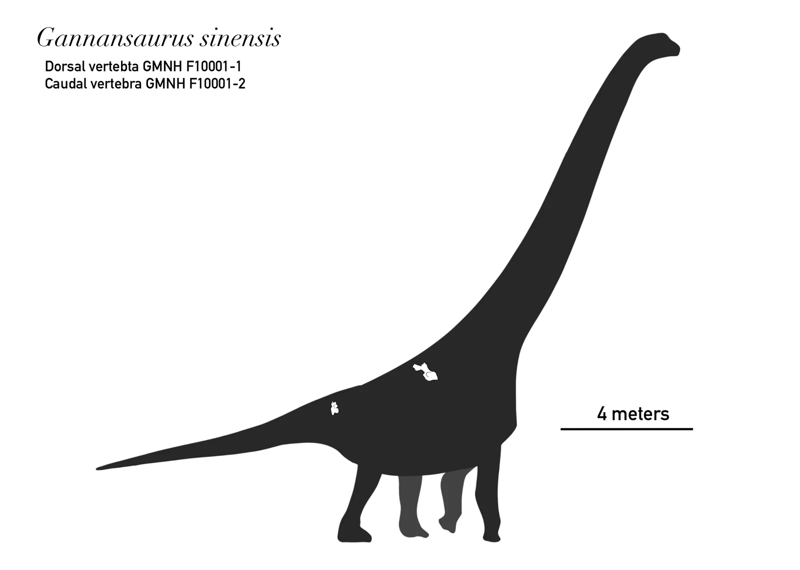 Gannansaurus sinensis