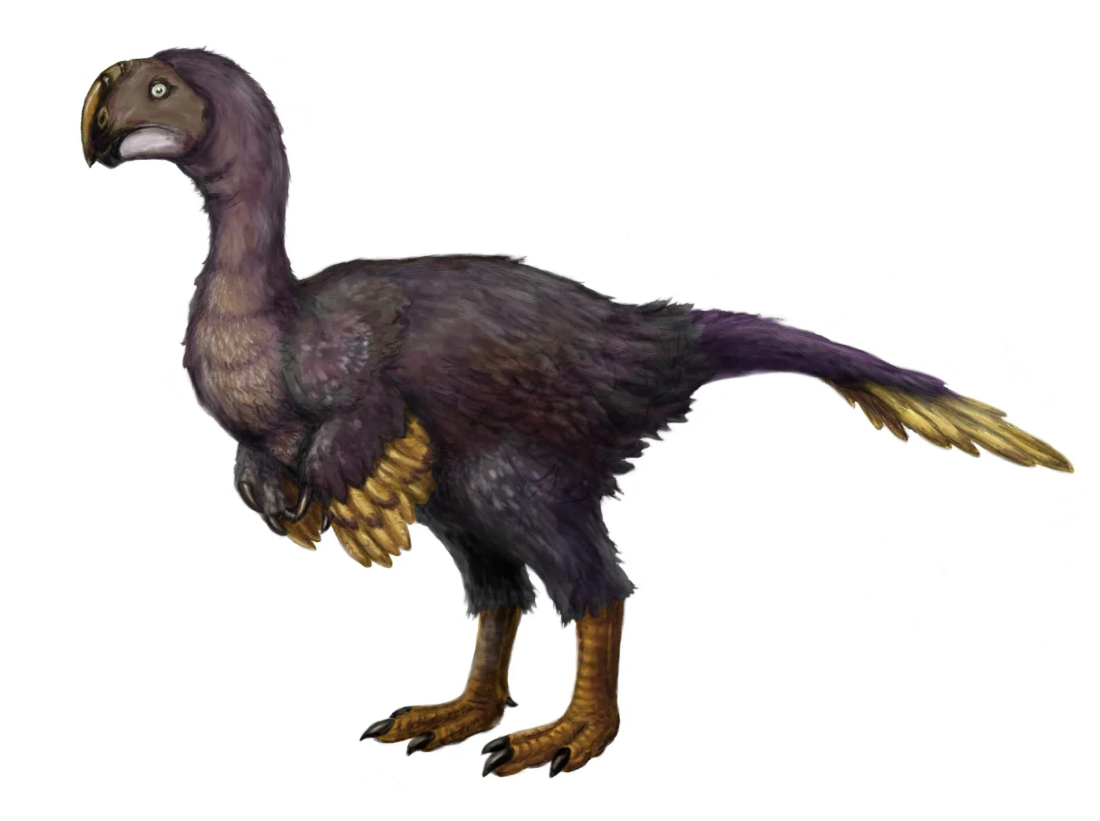 Ganzhousaurus nankangensis