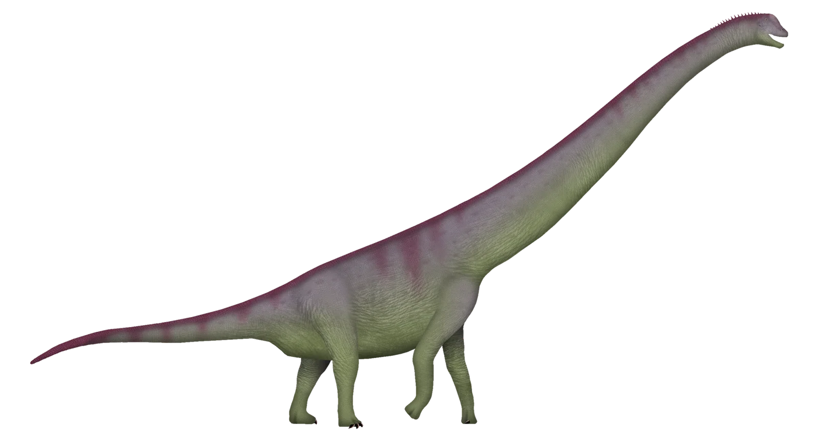 Garumbatitan morellensis