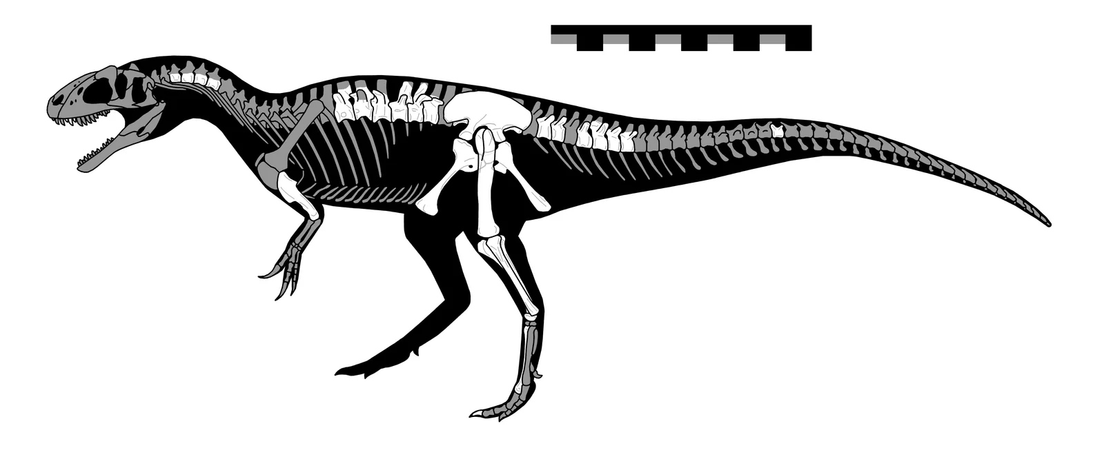 Gasosaurus constructus