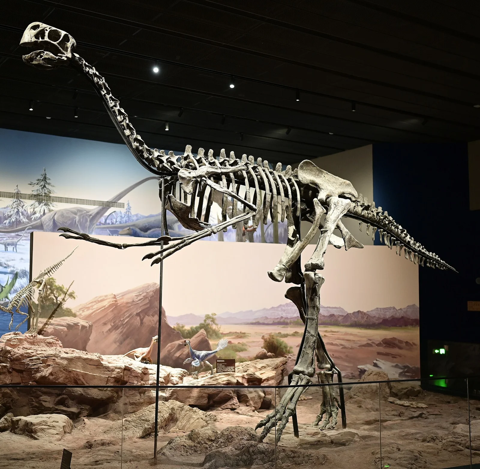 Gigantoraptor erlianensis