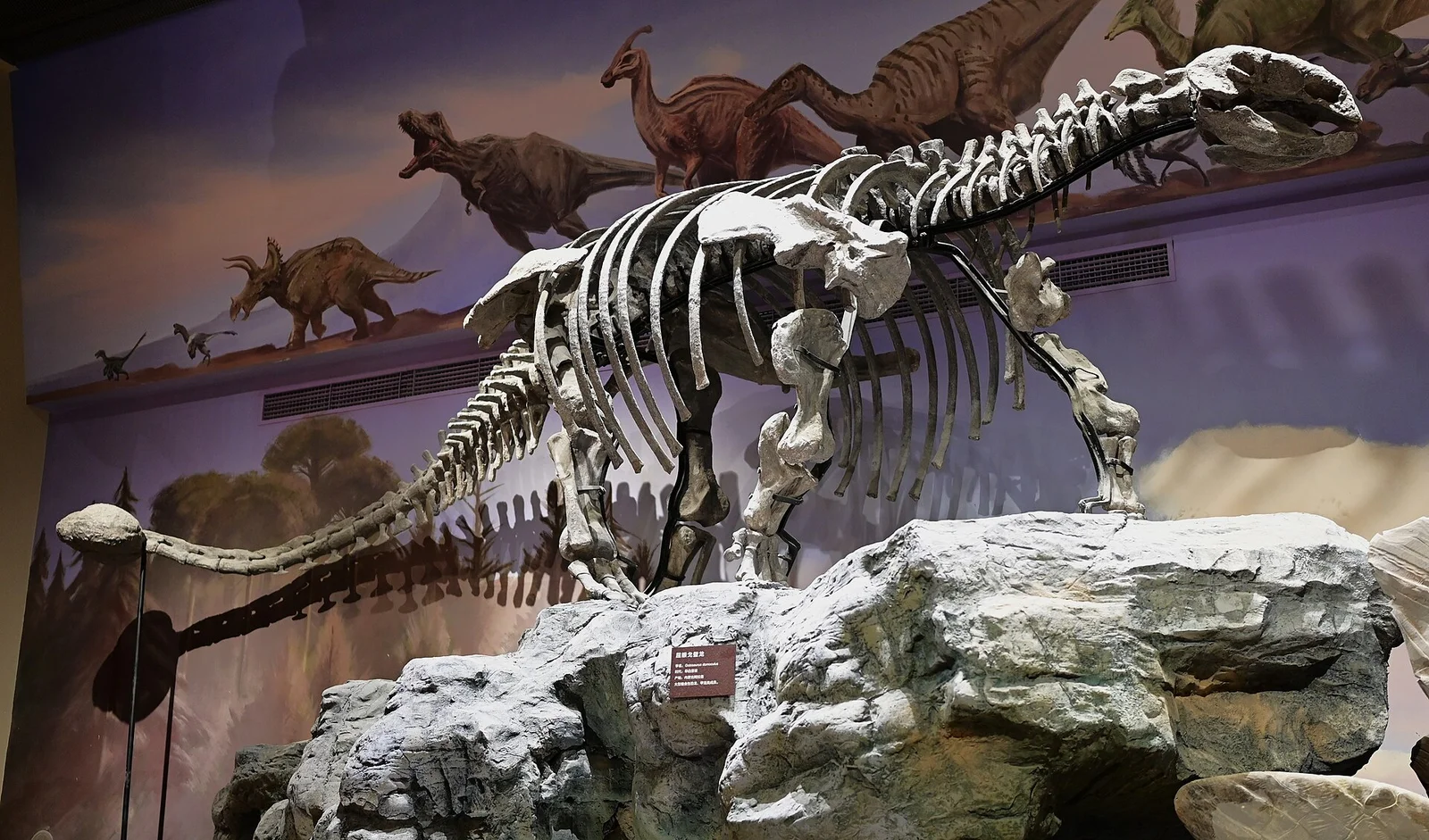 Gobisaurus domoculus
