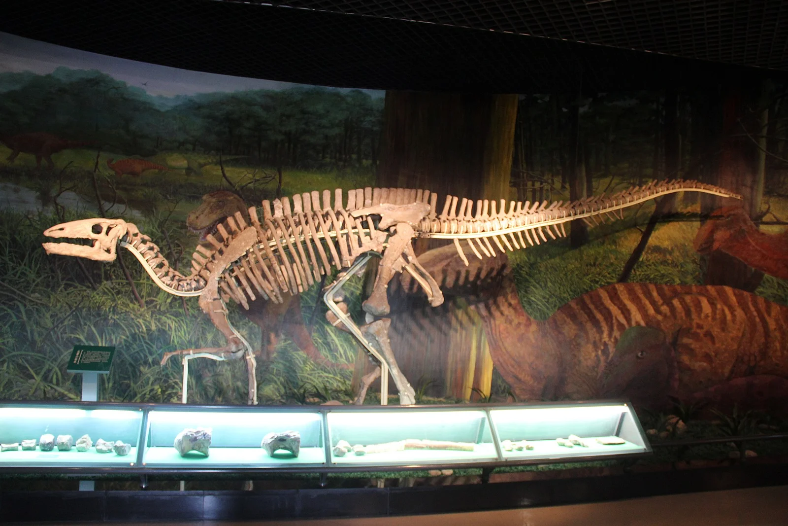Gongpoquansaurus mazongshanensis