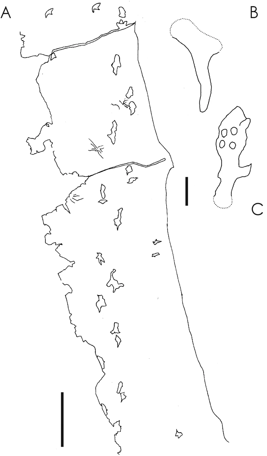 Haenamichnus uhangriensis