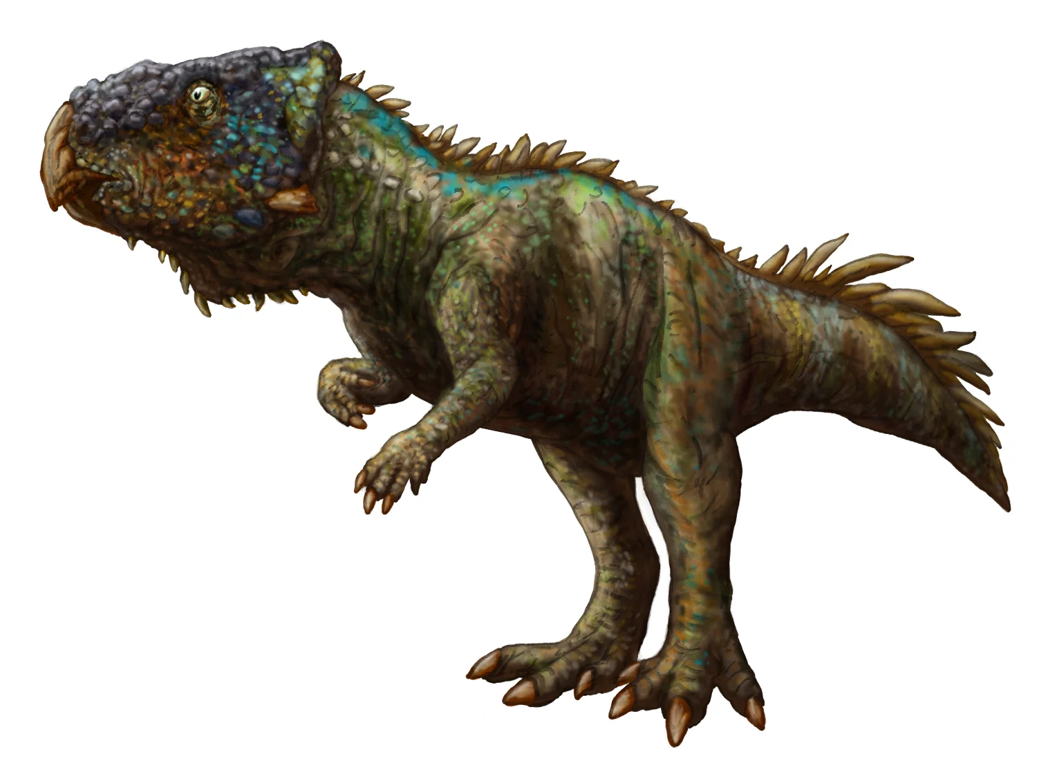 Helioceratops brachygnathus