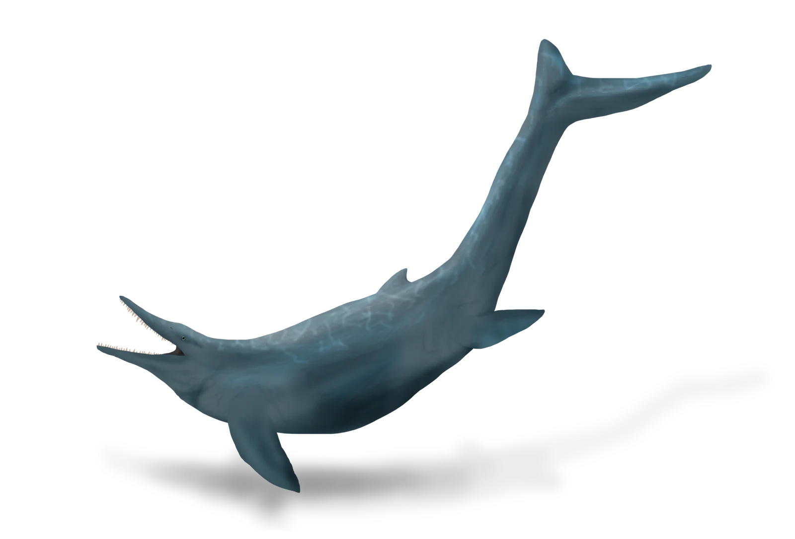 Himalayasaurus tibetensis