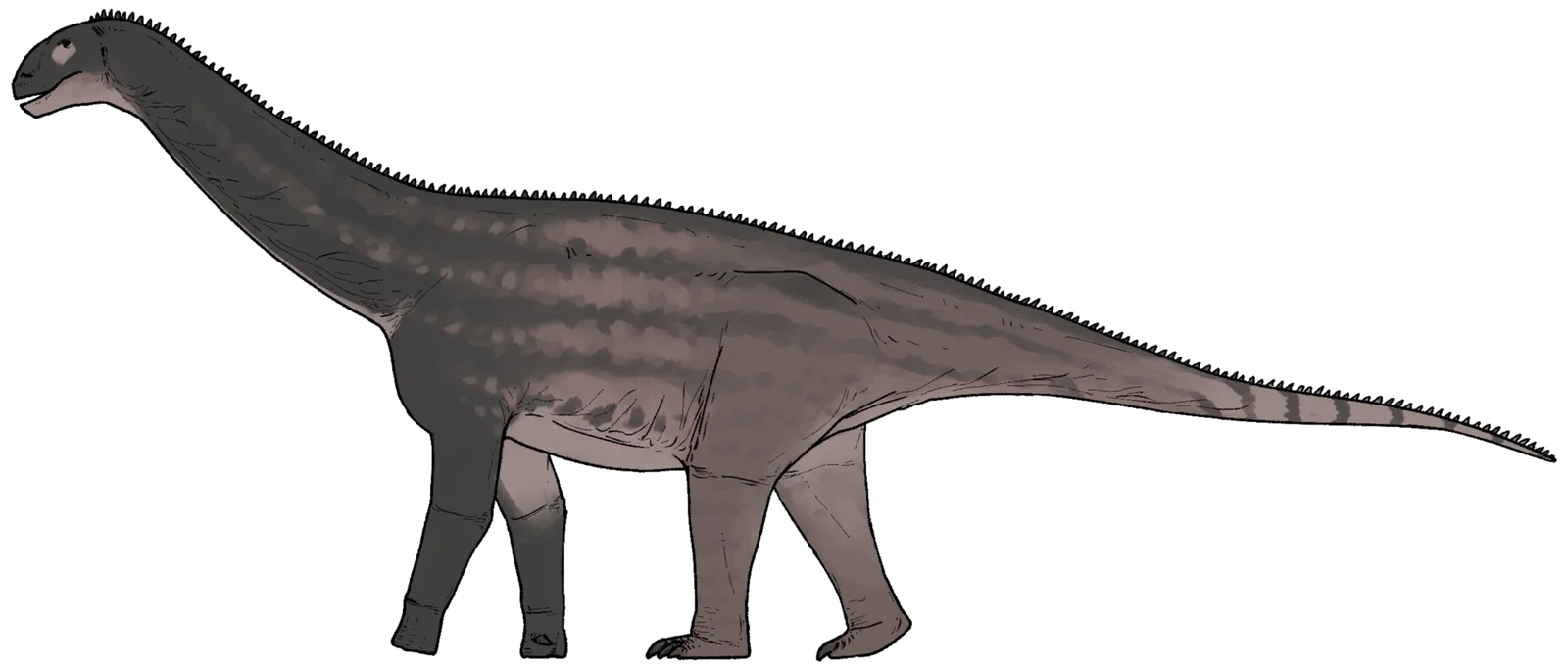 Huashanosaurus qini