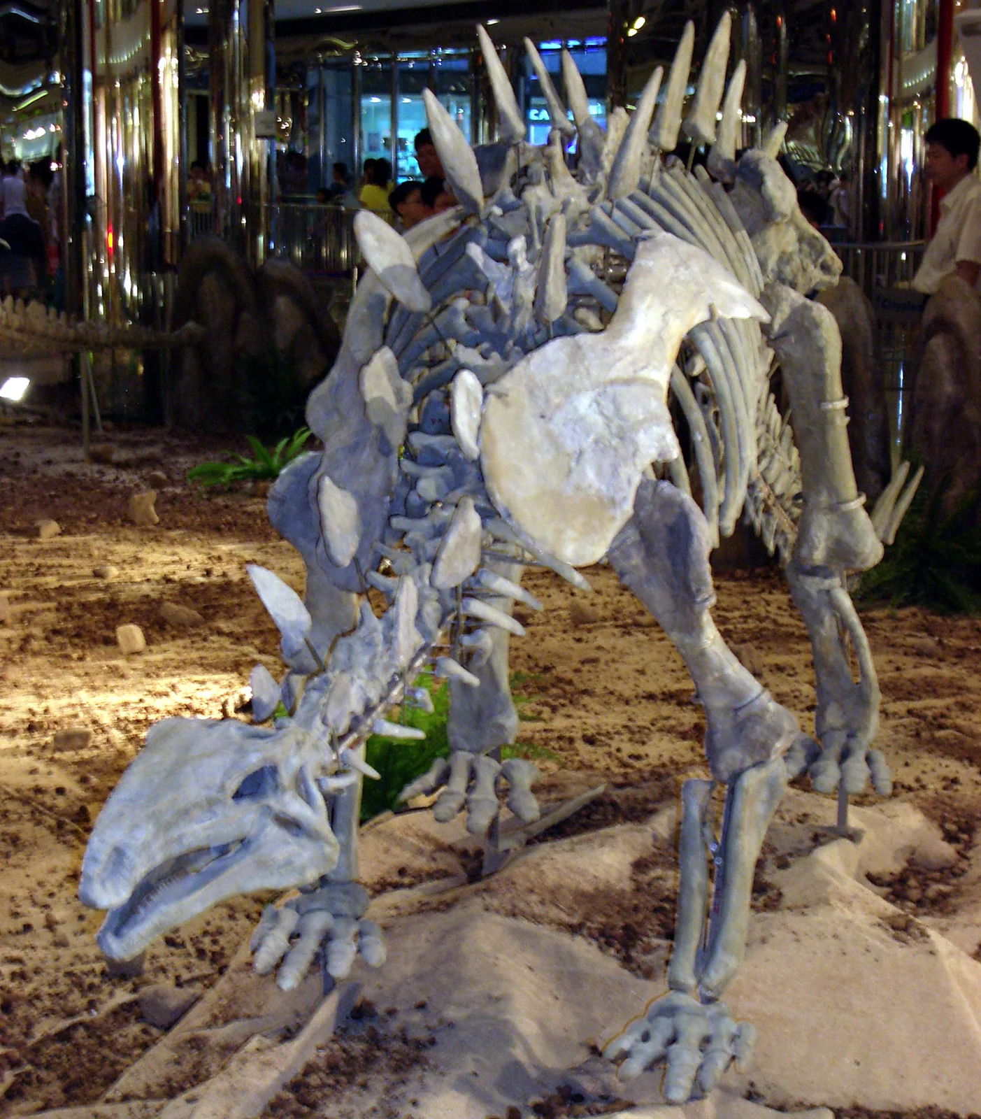 Huayangosaurus taibaii