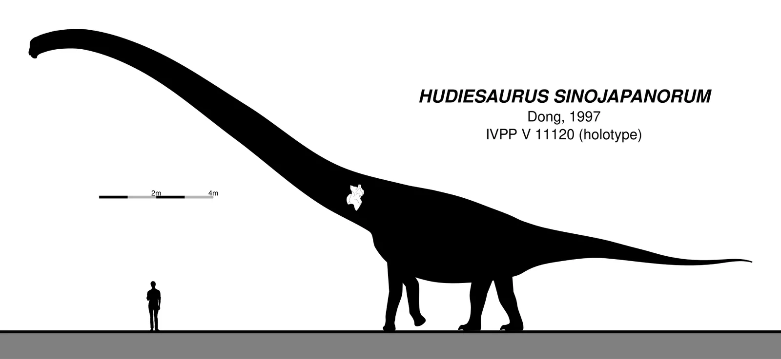 Hudiesaurus sinojapanorum