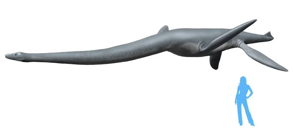 Hydrotherosaurus alexandrae