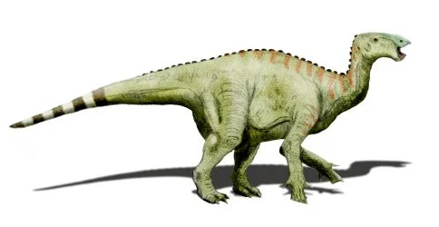 Hypselospinus fittoni