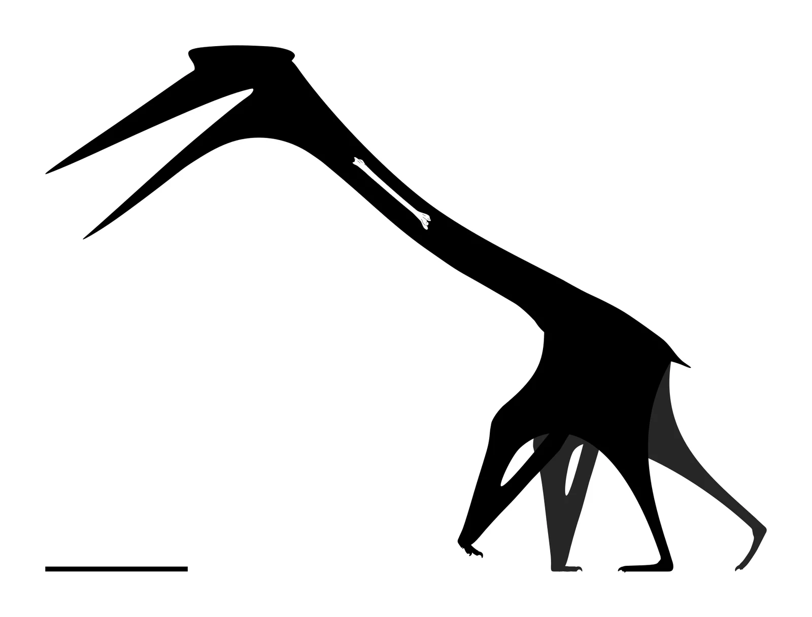 Infernodrakon hastacollis