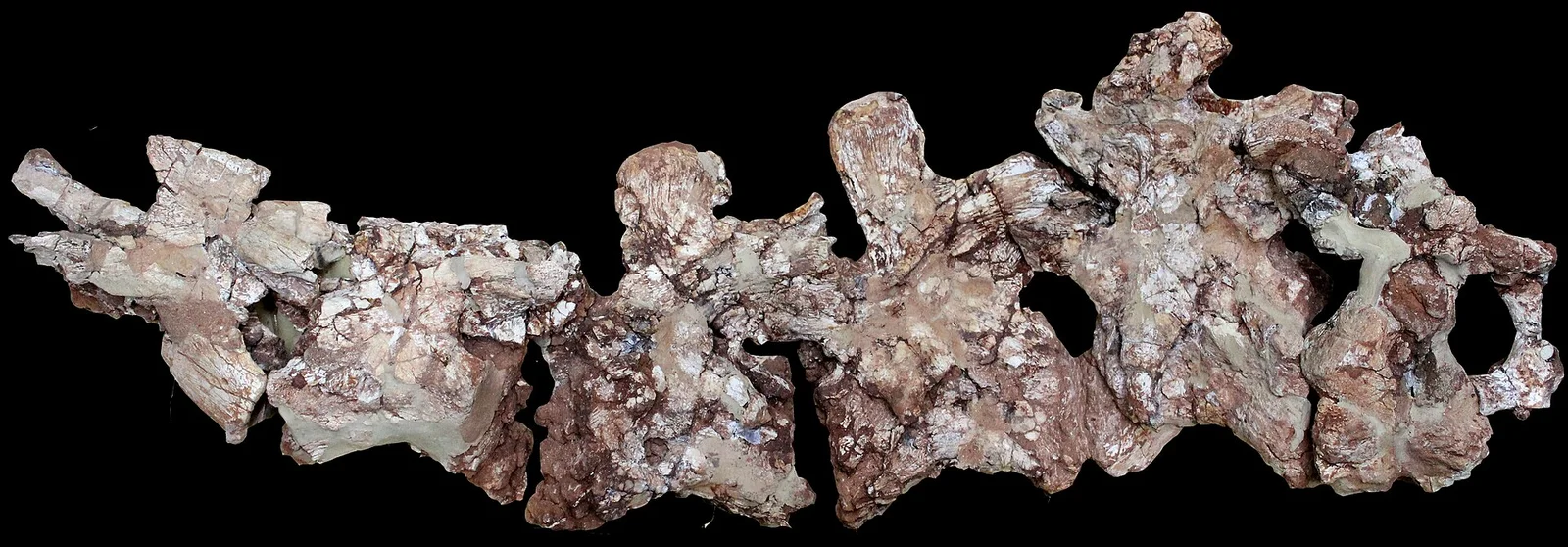 Ingentia prima