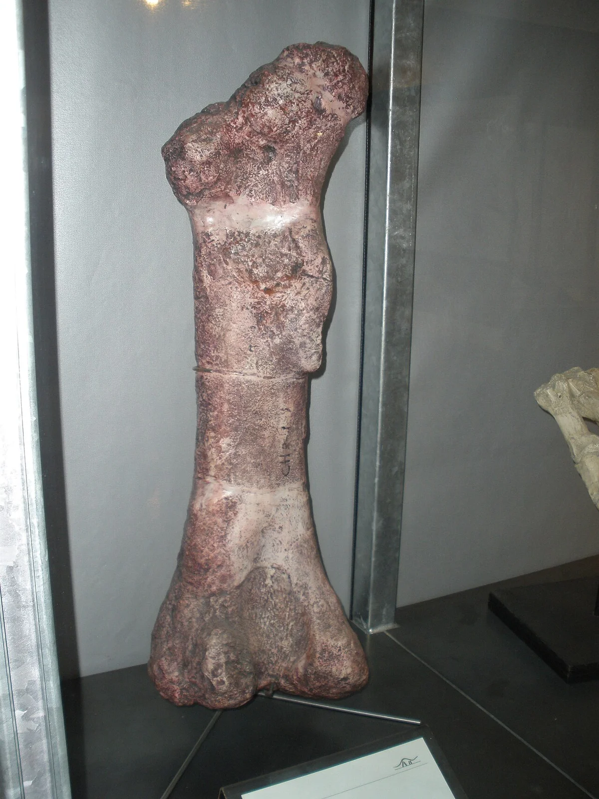 Isanosaurus attavipachi