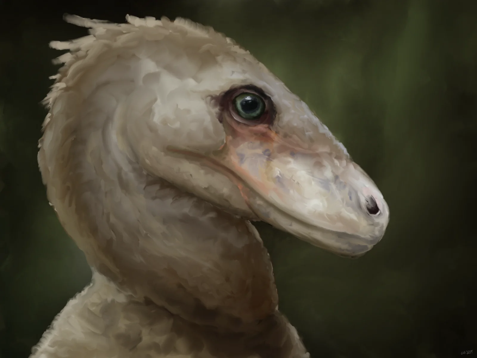 Itemirus medullaris