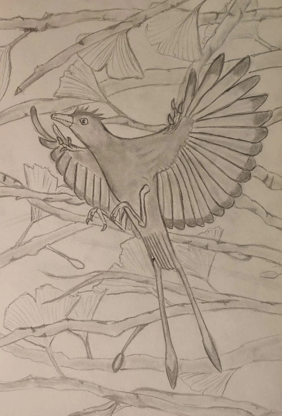 Jianchangornis microdonta
