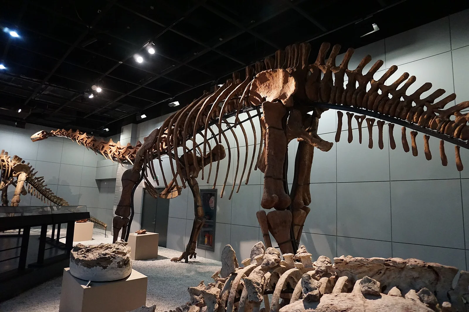 Jiangshanosaurus lixianensis
