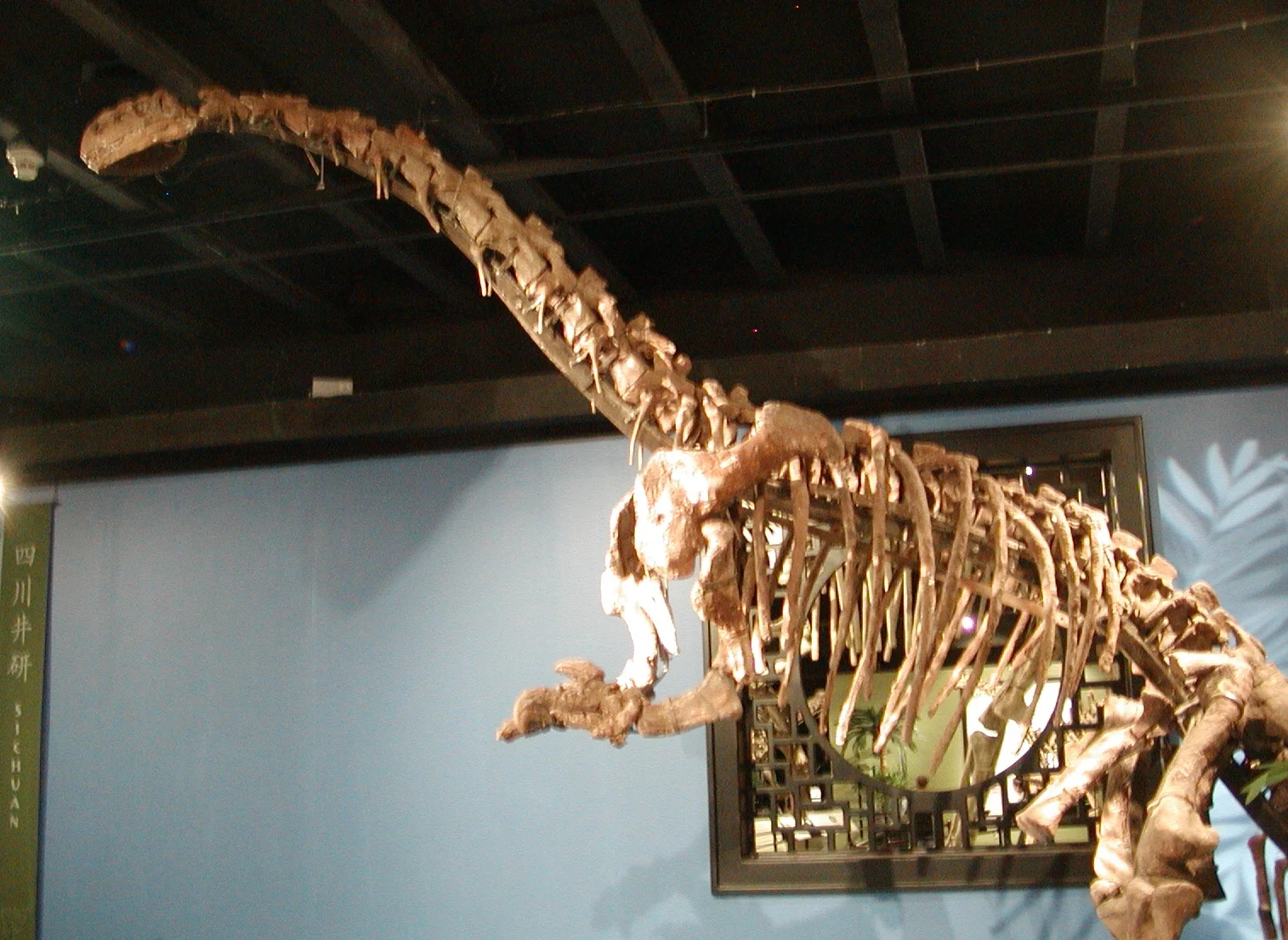 Jingshanosaurus xinwaensis