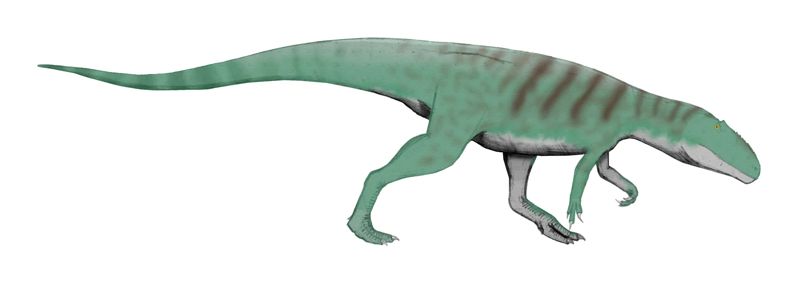 Kaijiangosaurus lini