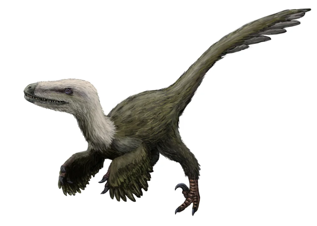 Kansaignathus sogdianus
