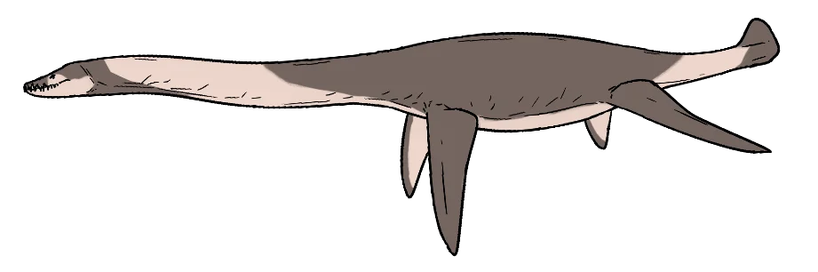 Kawanectes lafquenianum