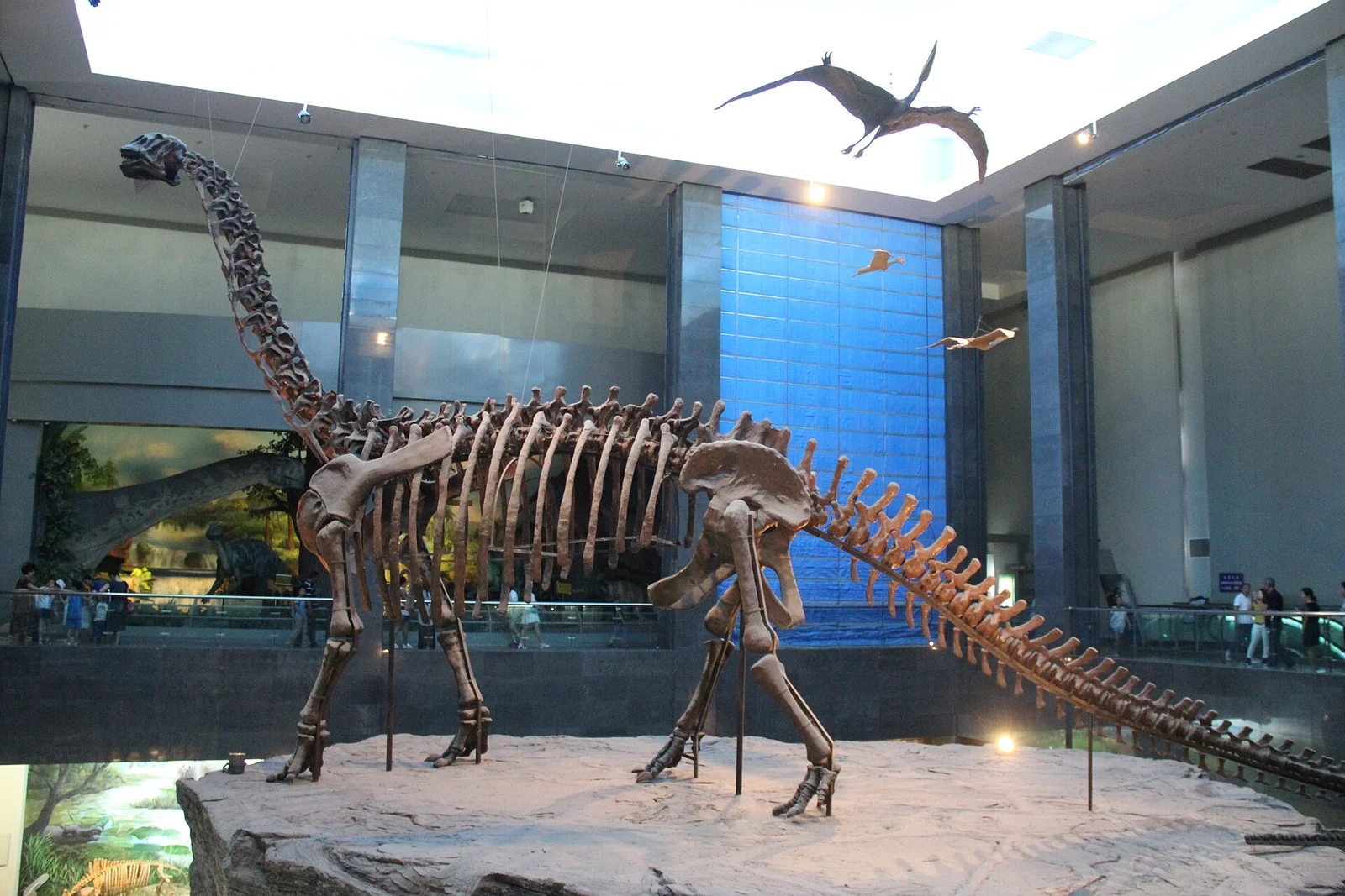 Khetranisaurus barkhani