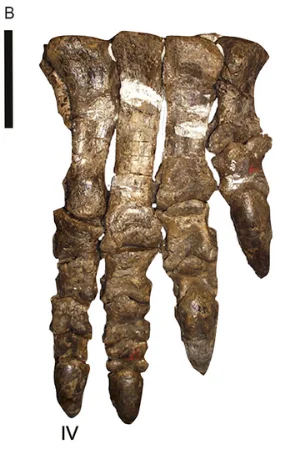 Kholumolumo ellenbergerorum