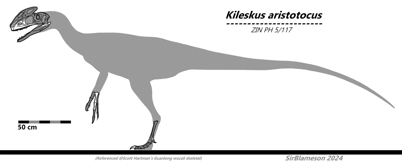 Kileskus aristotocus