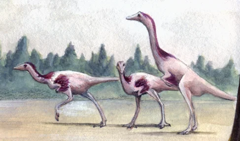 Kinnareemimus khonkaenensis