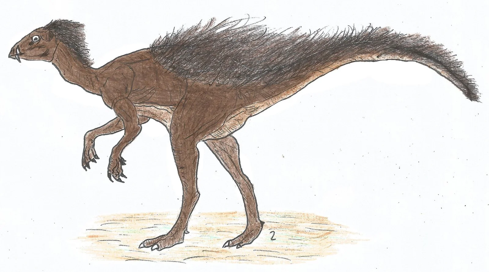 Komlosaurus carbonis