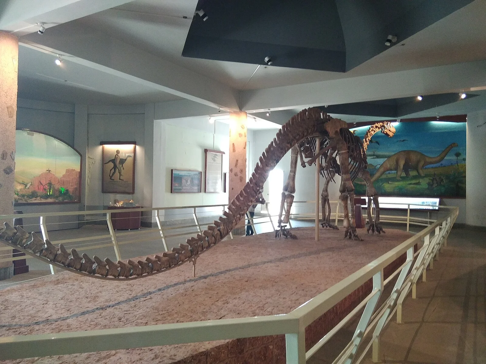 Kotasaurus yamanpalliensis