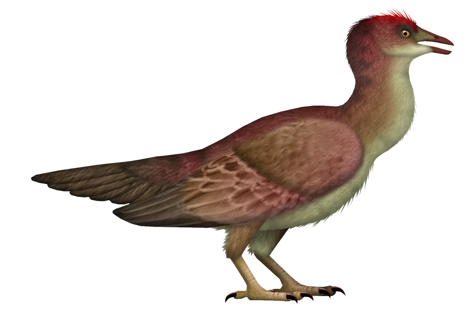 Kunpengornis anhuimusei
