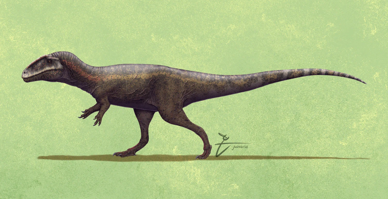 Lajasvenator ascheriae