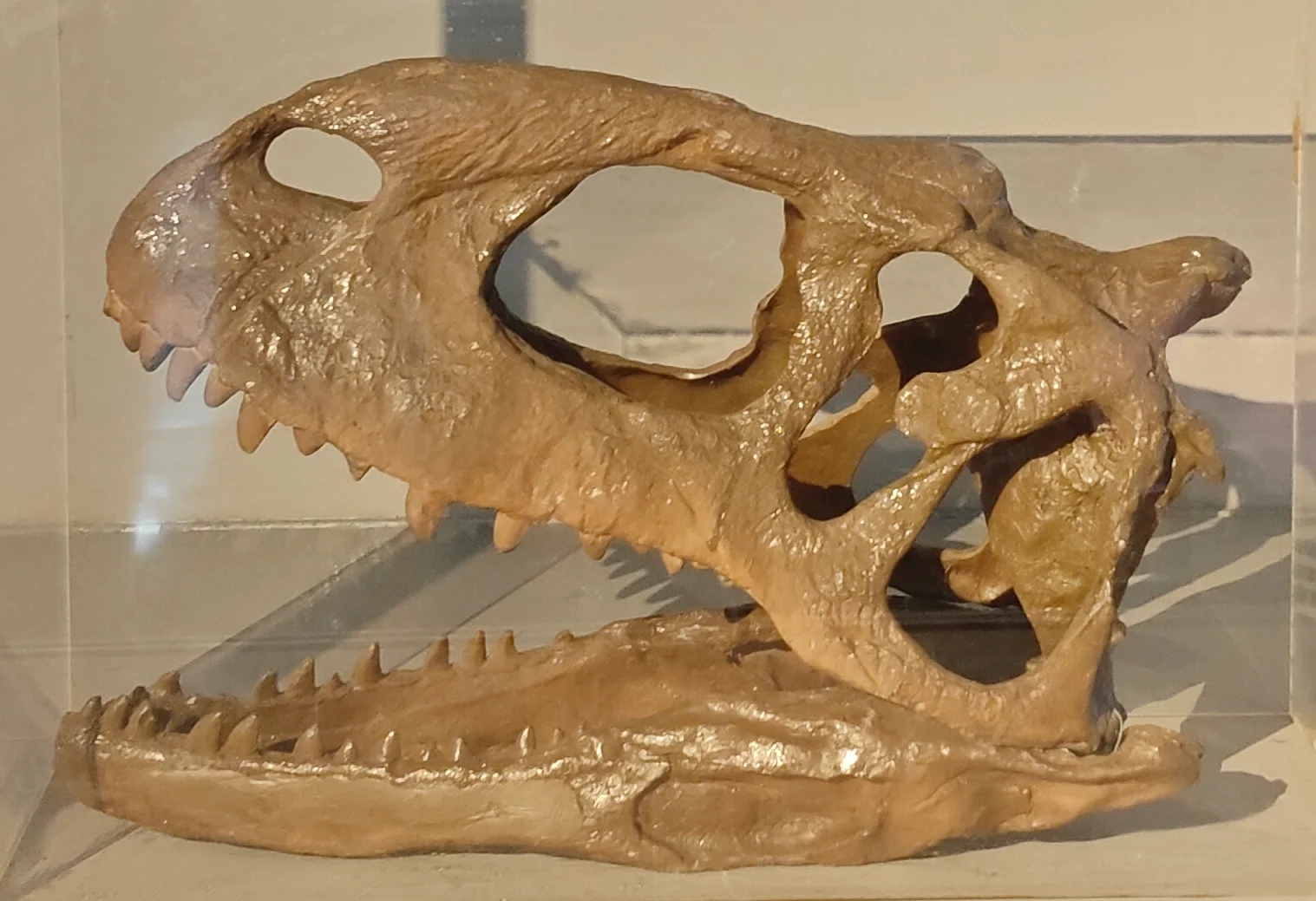 Lametasaurus indicus
