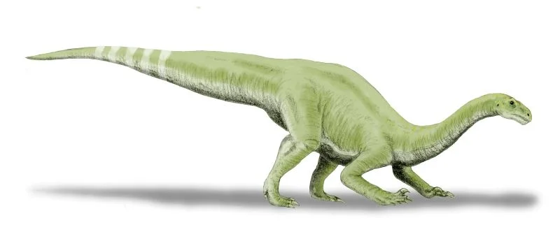 Lamplughsaura dharmaramensis