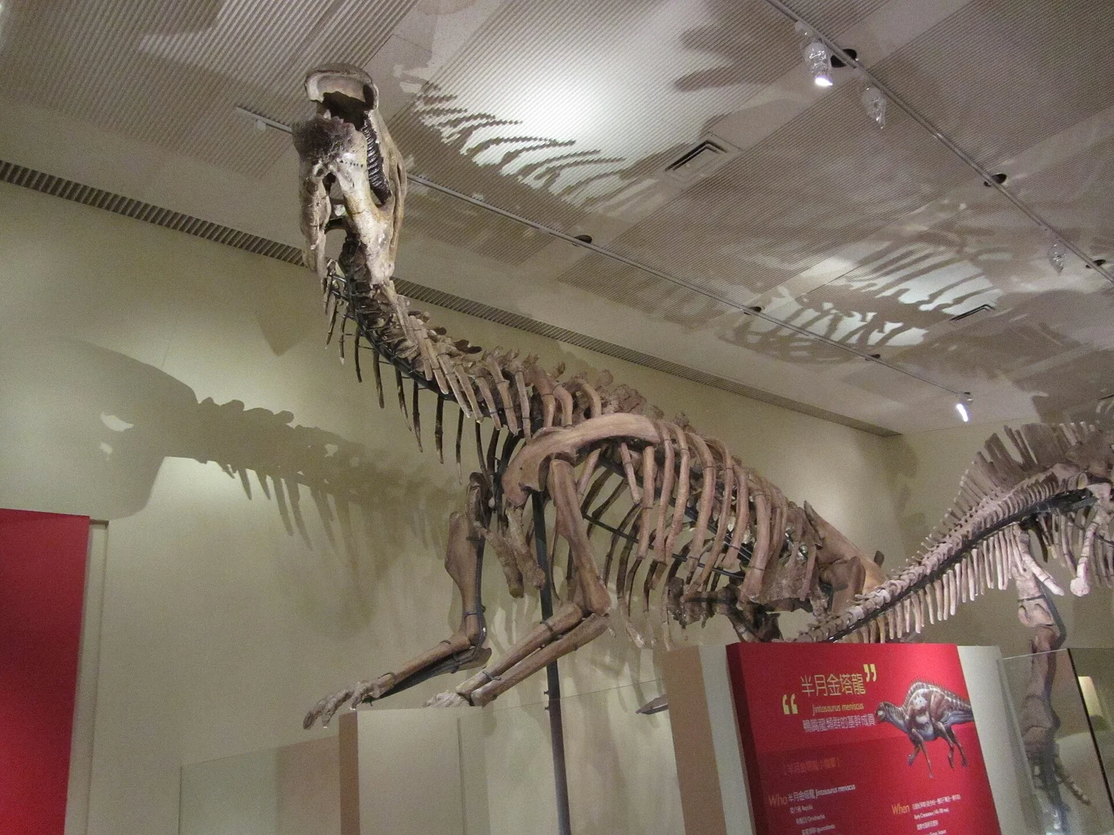 Lanzhousaurus magnidens