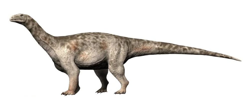 Ledumahadi mafube