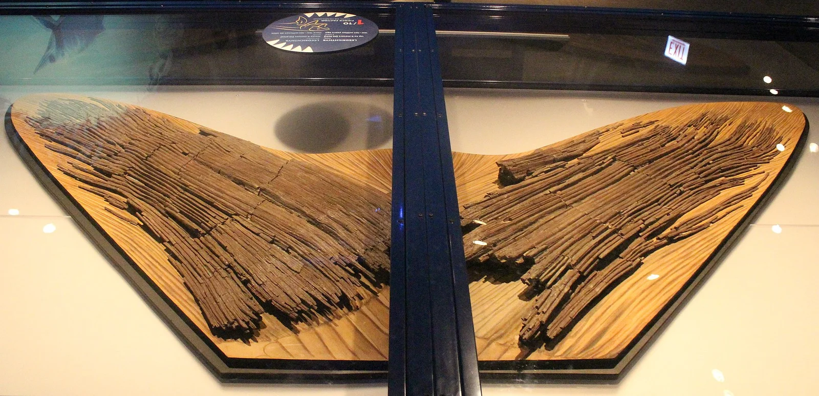 Leedsichthys problematicus
