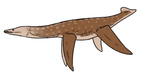 Leptocleidus superstes