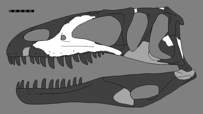 Leshansaurus qianweiensis