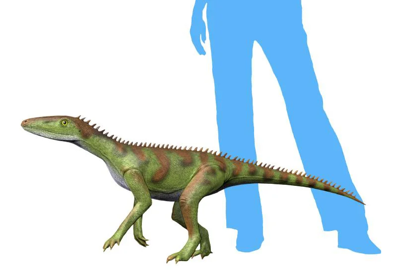 Lewisuchus admixtus