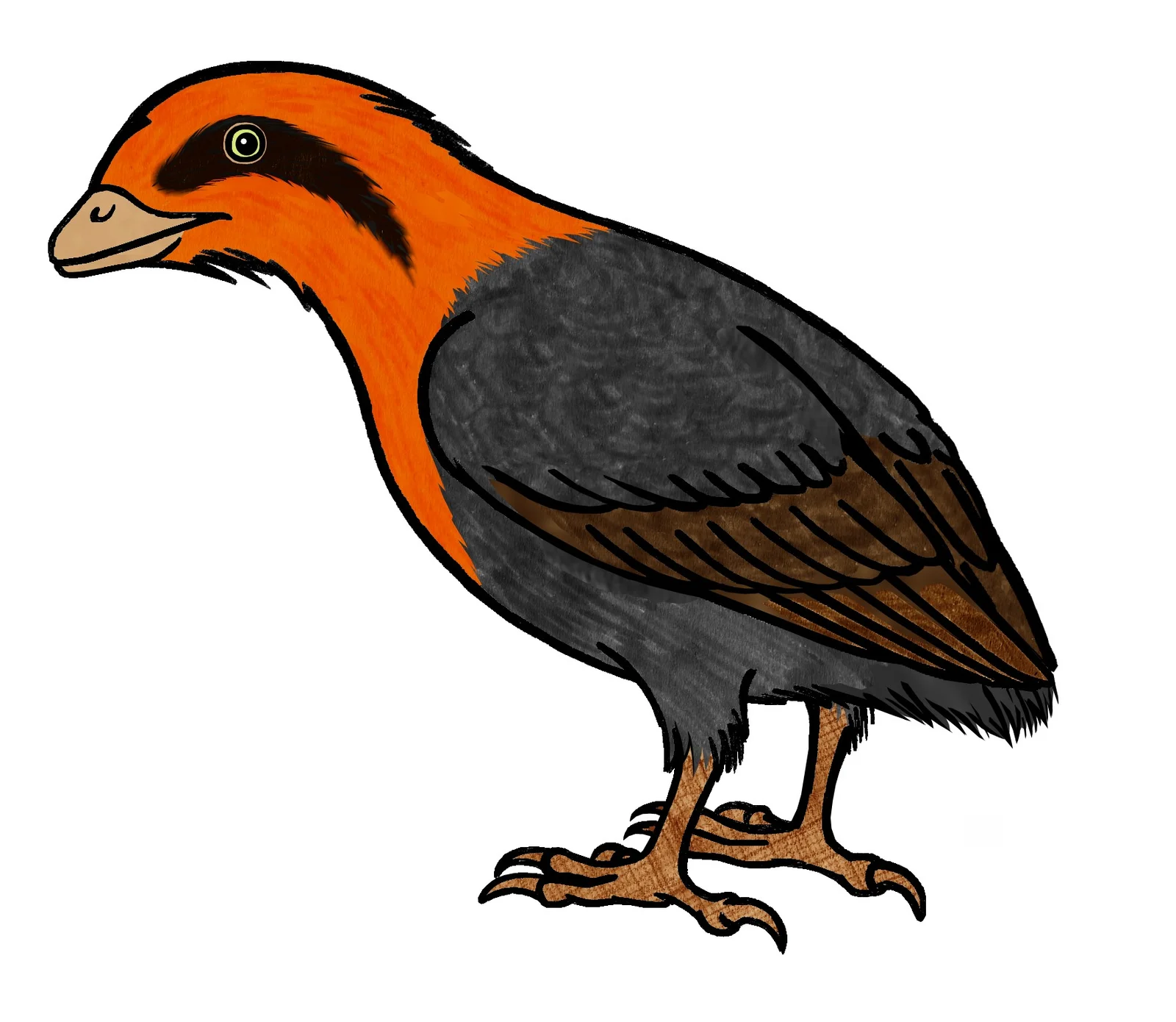 Liaoningornis longidigitris