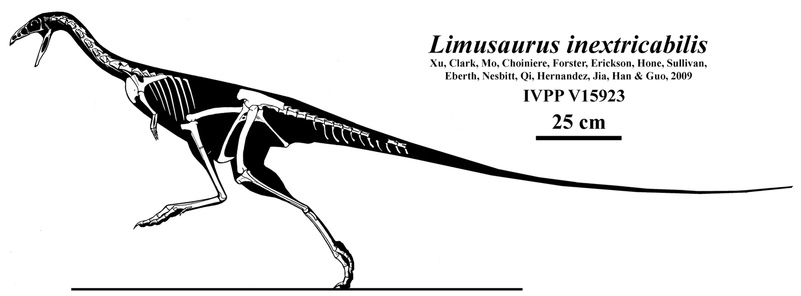 Limusaurus inextricabilis