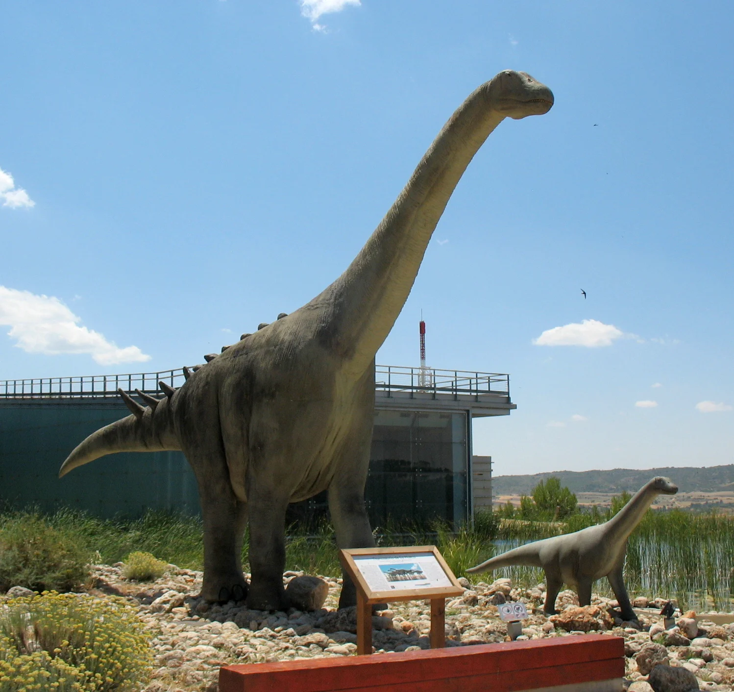 Lohuecotitan pandafilandi