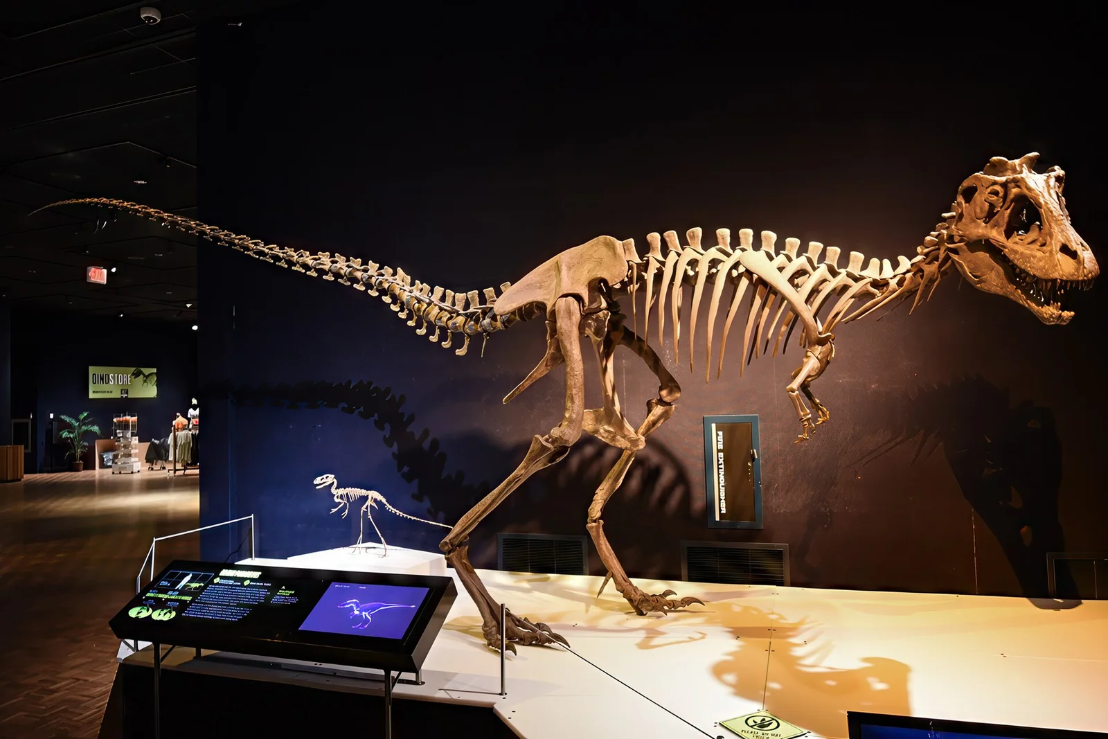 Lythronax argestes