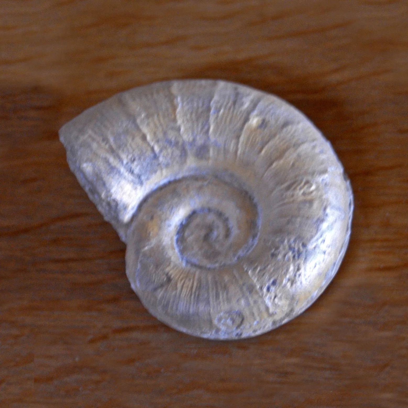 Lytoceras eudesianum