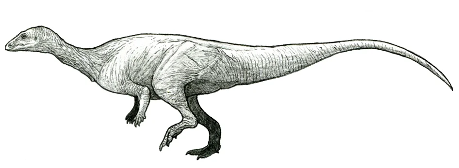 Macrogryphosaurus gondwanicus