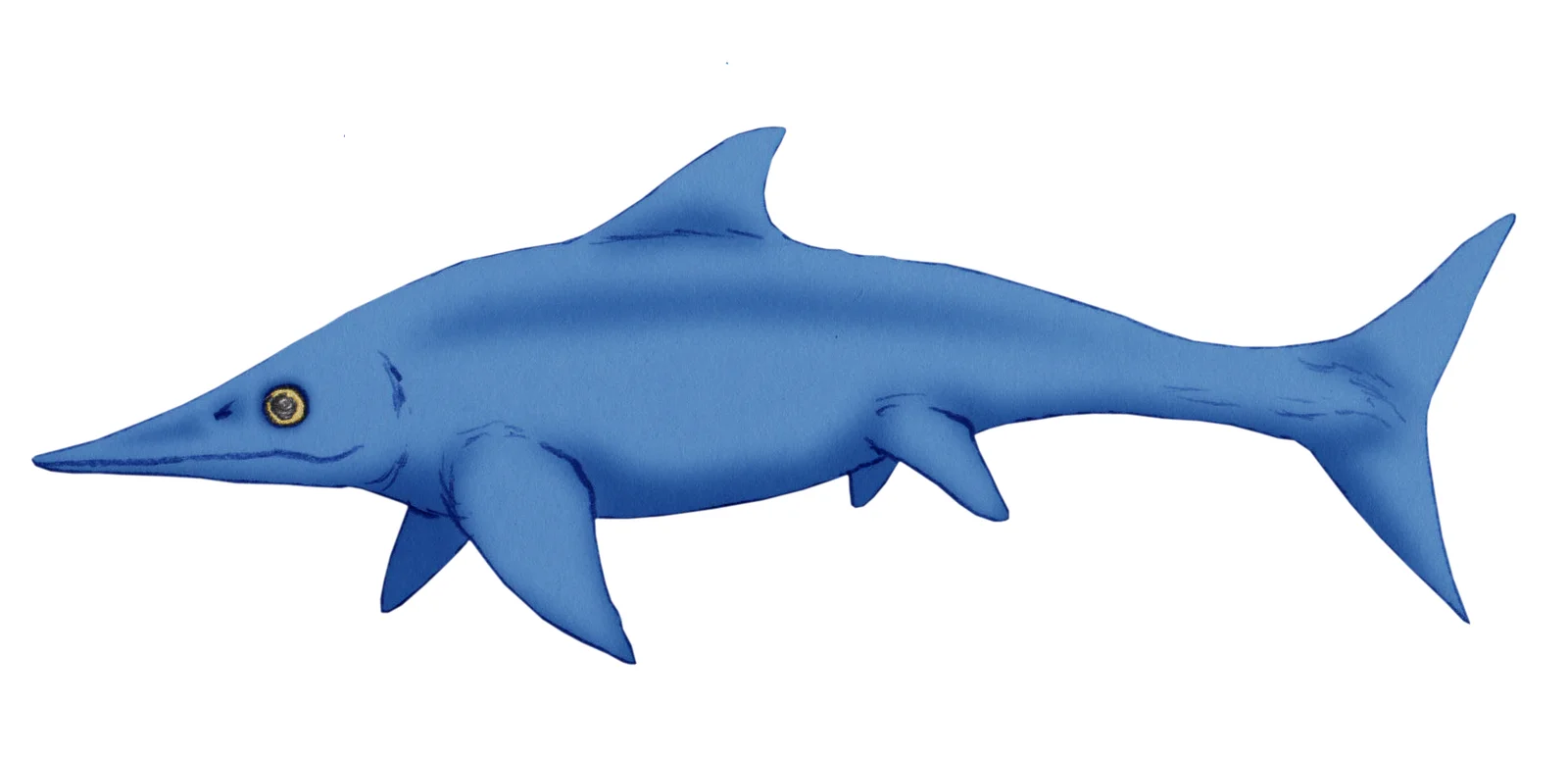 Malawania anachronus